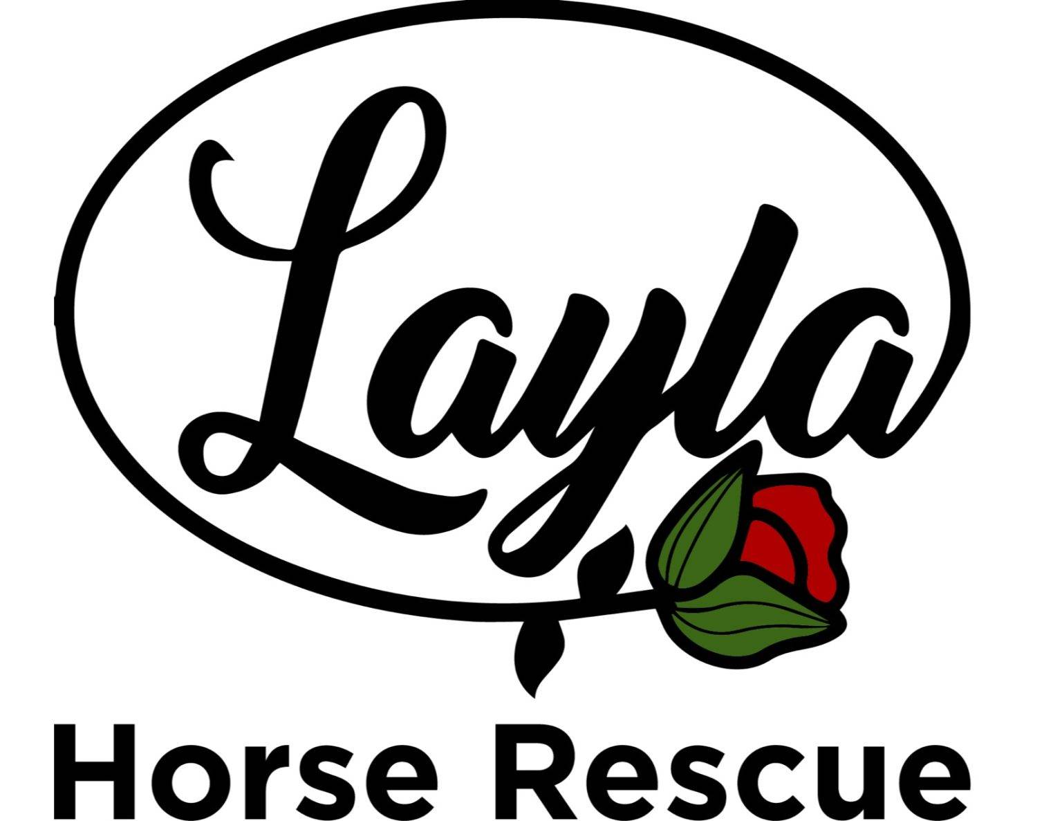 amazon wish list – Layla Rose Ranch Horse Rescue