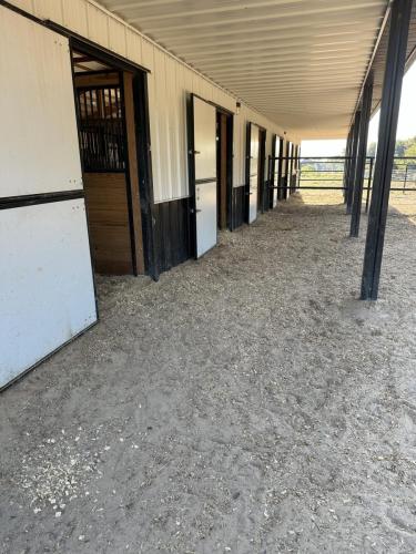 Dutch Doors on Stalls