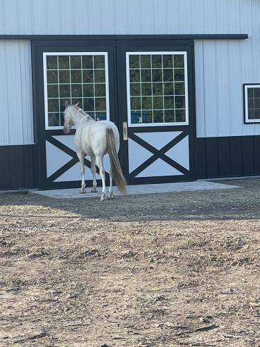 What time does this place open?